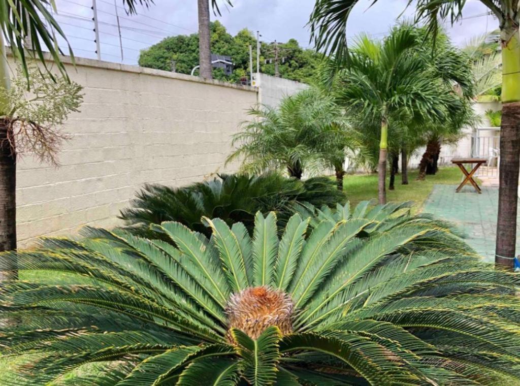 Apt2 Piscina Netflix Wifi Ar Cond Prox A 2 Shoppigns Fortaleza  Eksteriør bilde